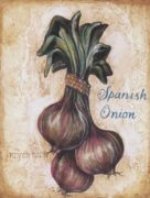 Onion G.  Lucas