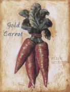 Carrots G.  Lucas