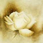 WHITE ROSE I Betty  Jansma