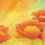 FIRST DAYLIGHT II Alicia  Sloan