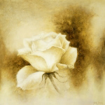WHITE ROSE II Betty  Jansma