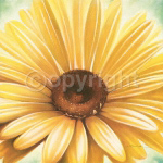 RAYS OF YELLOW Arkadiusz  Warminski