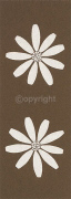 DAISY DUO Paula  Aspery