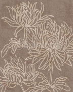 CHOCOLATE CRYSANTHEMUM Hilary   Anderson