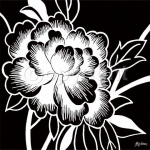 MONOCHROME ROSE I Hilary   Anderson