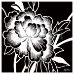 MONOCHROME ROSE I Hilary   Anderson