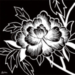 MONOCHROME ROSE II Hilary   Anderson