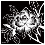 MONOCHROME ROSE II Hilary   Anderson