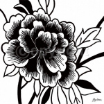 BLACK ROSE I Hilary   Anderson