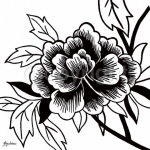 BLACK ROSE II Hilary   Anderson