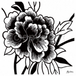 BLACK ROSE I Hilary   Anderson