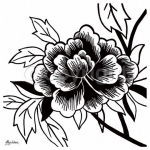 BLACK ROSE II Hilary   Anderson