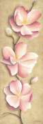 APPLE BLOSSOMS Caroline  Wenig