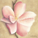 APPLE BLOSSOM II Caroline  Wenig