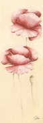 GRACEFUL I Alicia  Sloan