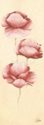 GRACEFUL II Alicia  Sloan