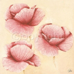 GENTLE Alicia  Sloan
