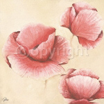 DELIGHTFUL Alicia  Sloan