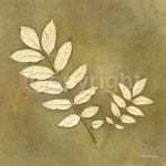 BEECH LEAF Alexandra  Bex