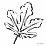 FIG LEAF Paul  Desny