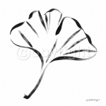 GINGKO LEAF Paul  Desny
