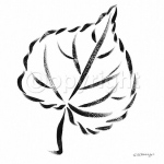 LIME-TREE LEAF Paul  Desny