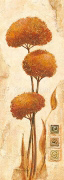 FORTUNA Tomasyn  de Winter