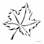 MAPLE LEAF Paul  Desny