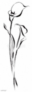 PERFUMED CALLAS Paul  Desny
