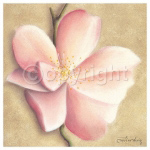 APPLE BLOSSOM II Caroline  Wenig