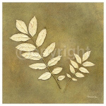 BEECH LEAF Alexandra  Bex