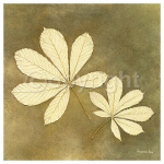 HORSE CHESTNUT LEAF Alexandra  Bex