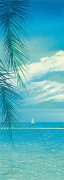 TROPIC GARDEN I Howard  Page