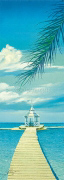 TROPIC GARDEN II Howard  Page