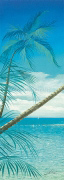 A DREAM OF TONGA I Howard  Page