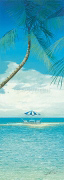 A DREAM OF TONGA II Howard  Page