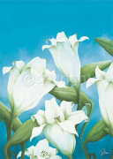 FRESH LILLIES Alicia  Sloan