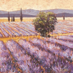 LA MAGIE DE LA LAVANDE Karsten  Kirchner