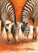 FRIENDS Arkadiusz  Warminski