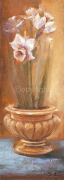 FLOWER JOYS Scott  Norman