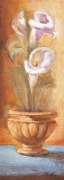 BLOOM CHARM Scott  Norman