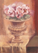 CLASSIC VIOLAS Scott  Norman