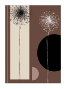 BLACK AND WHITE DANDELIONS Jo  Parry