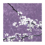 BLOSSOM IN LILAC Gail  McKenzie