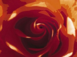 ROSE VARIATION II Tasmin  Phoenix
