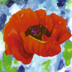 RED POPPY Yvonne  Dulac
