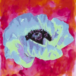 BLUE POPPY Yvonne  Dulac