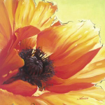 SOUND OF COLOUR I Svetlana  Semenova