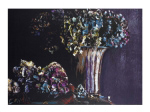 HYDRANGEA Jenny  Dreifuss