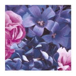PINK AND BLUE FLOWERS Jenny  Dreifuss
